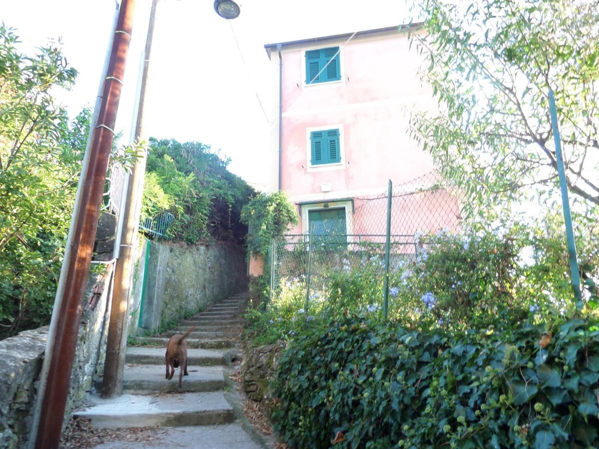 Portofino Mountain Unique Love Nest San Rocco  Exterior foto